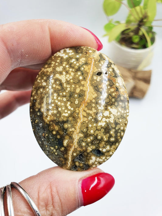 Orbicular Ocean Jasper Palm - Joy & Renewal Healing Crystal - 65g
