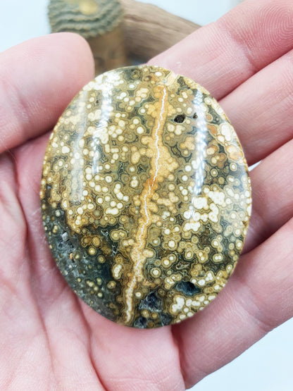 Orbicular Ocean Jasper Palm - Joy & Renewal Healing Crystal - 65g
