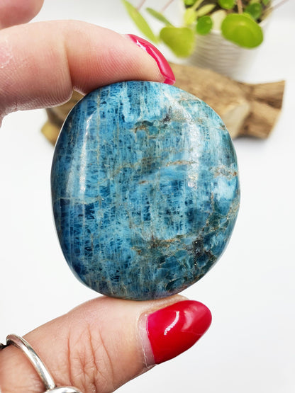 Blue Apatite Palm Stone - Motivation & Focus Healing Crystal - 85g