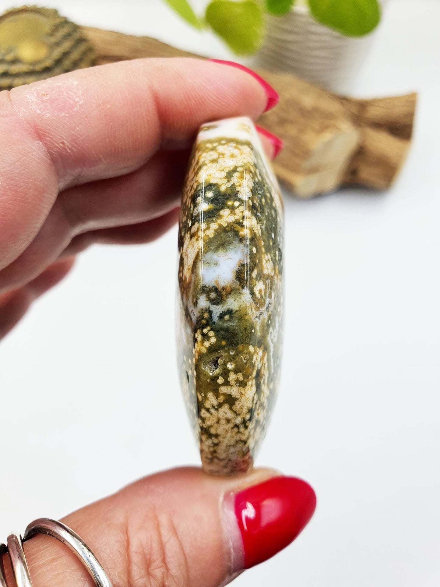 Orbicular Ocean Jasper Palm - Joy & Renewal Healing Crystal - 80g