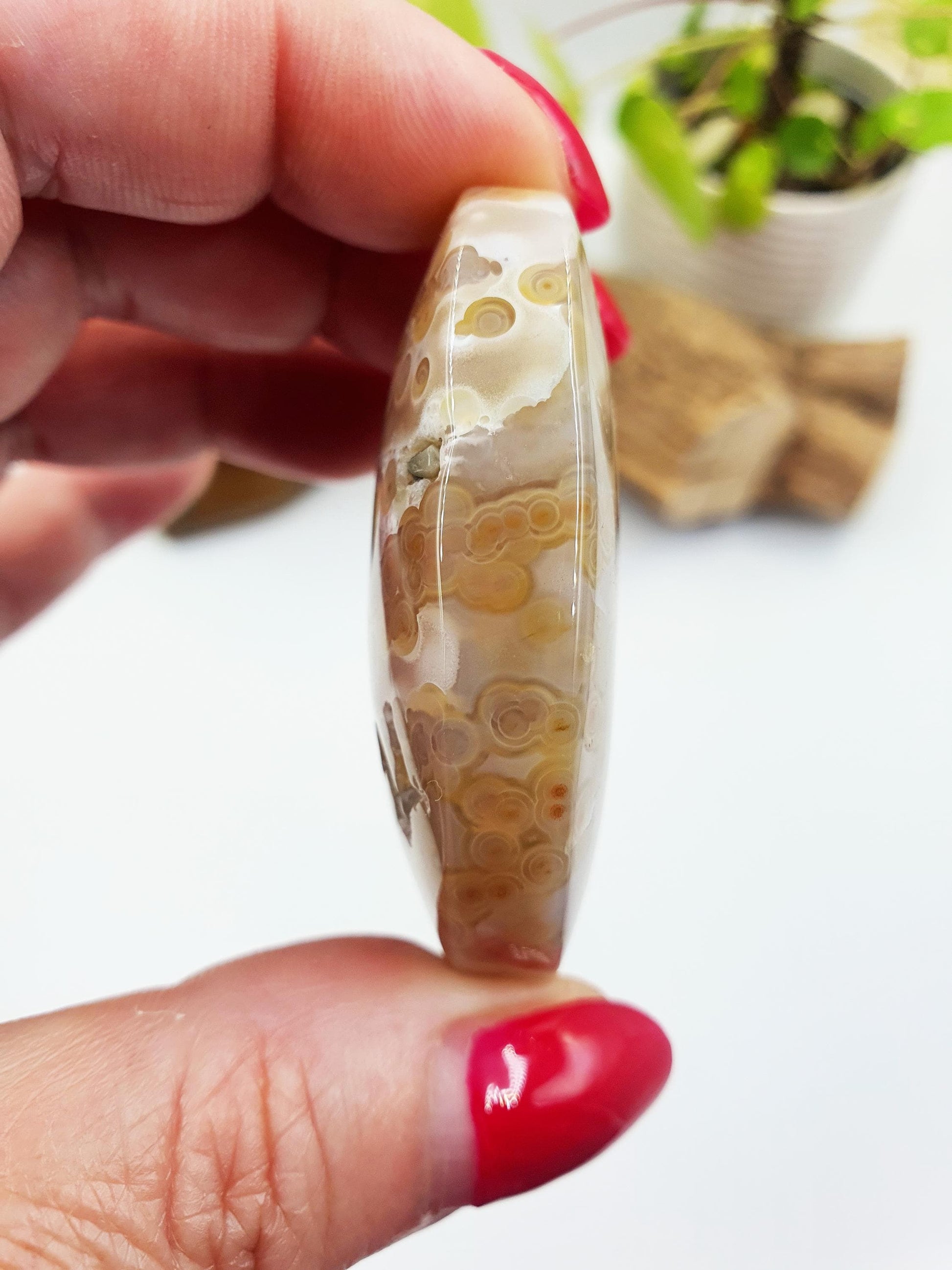 Unique Orbicular Ocean Jasper Palm - Joy & Renewal Healing Crystal - 55g