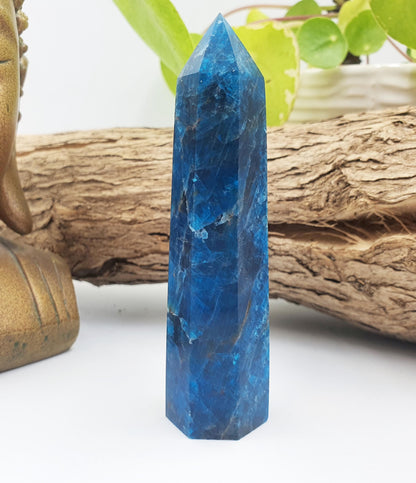 Blue Apatite Tower - Inspiration, Focus & Motivation Crystal Point, 95g