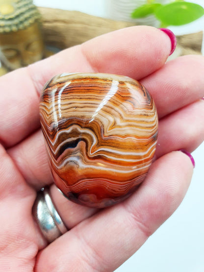 Little Sardonyx Palm Stone - Strength & Protection Healing, 35g