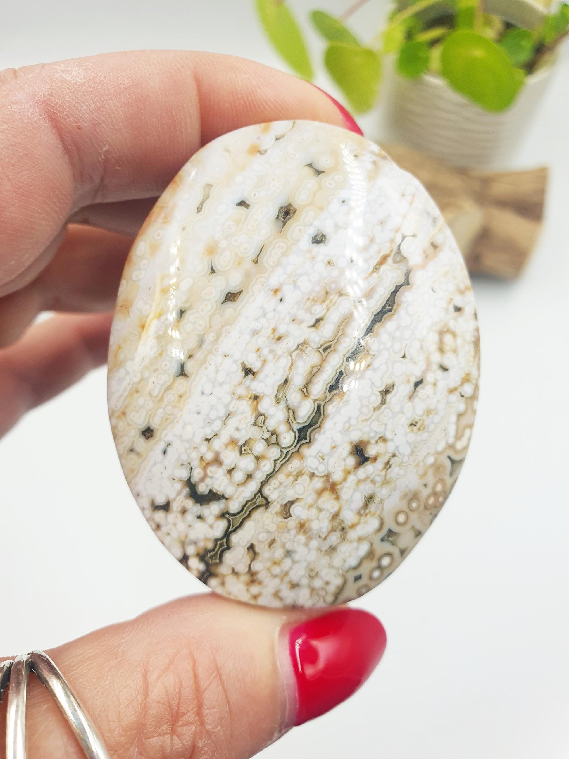 Orbicular Ocean Jasper Palm - Joy & Renewal Healing Crystal - 100g
