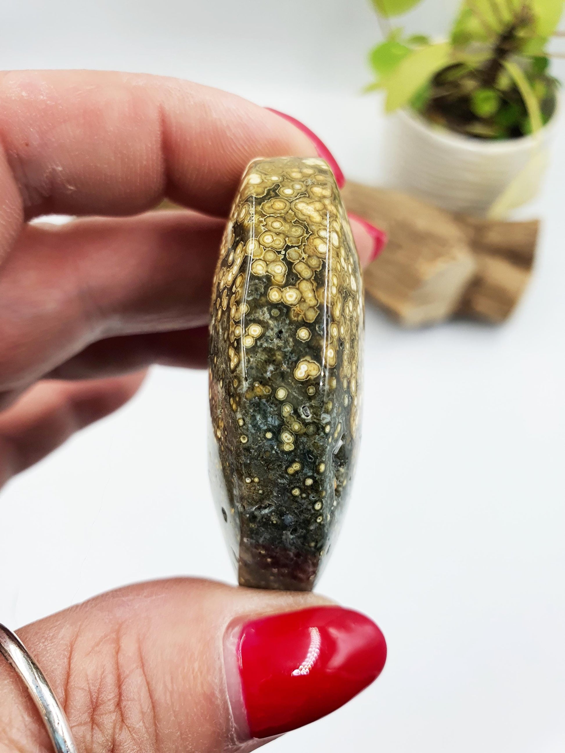 Orbicular Ocean Jasper Palm - Joy & Renewal Healing Crystal - 65g