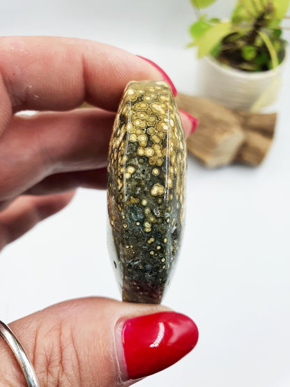 Orbicular Ocean Jasper Palm - Joy & Renewal Healing Crystal - 65g