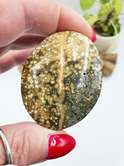 Orbicular Ocean Jasper Palm - Joy & Renewal Healing Crystal - 65g