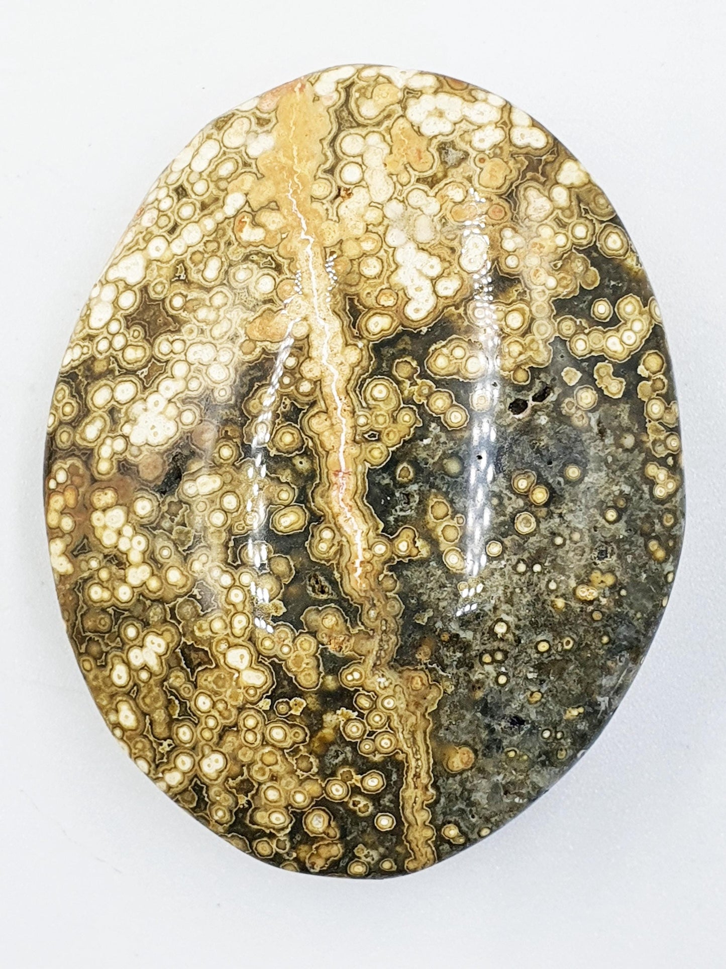 Orbicular Ocean Jasper Palm - Joy & Renewal Healing Crystal - 65g