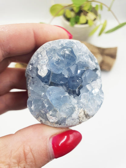 Raw Celestite Geode Specimen - Calming & Angelic Energy Healing Crystal, 190g