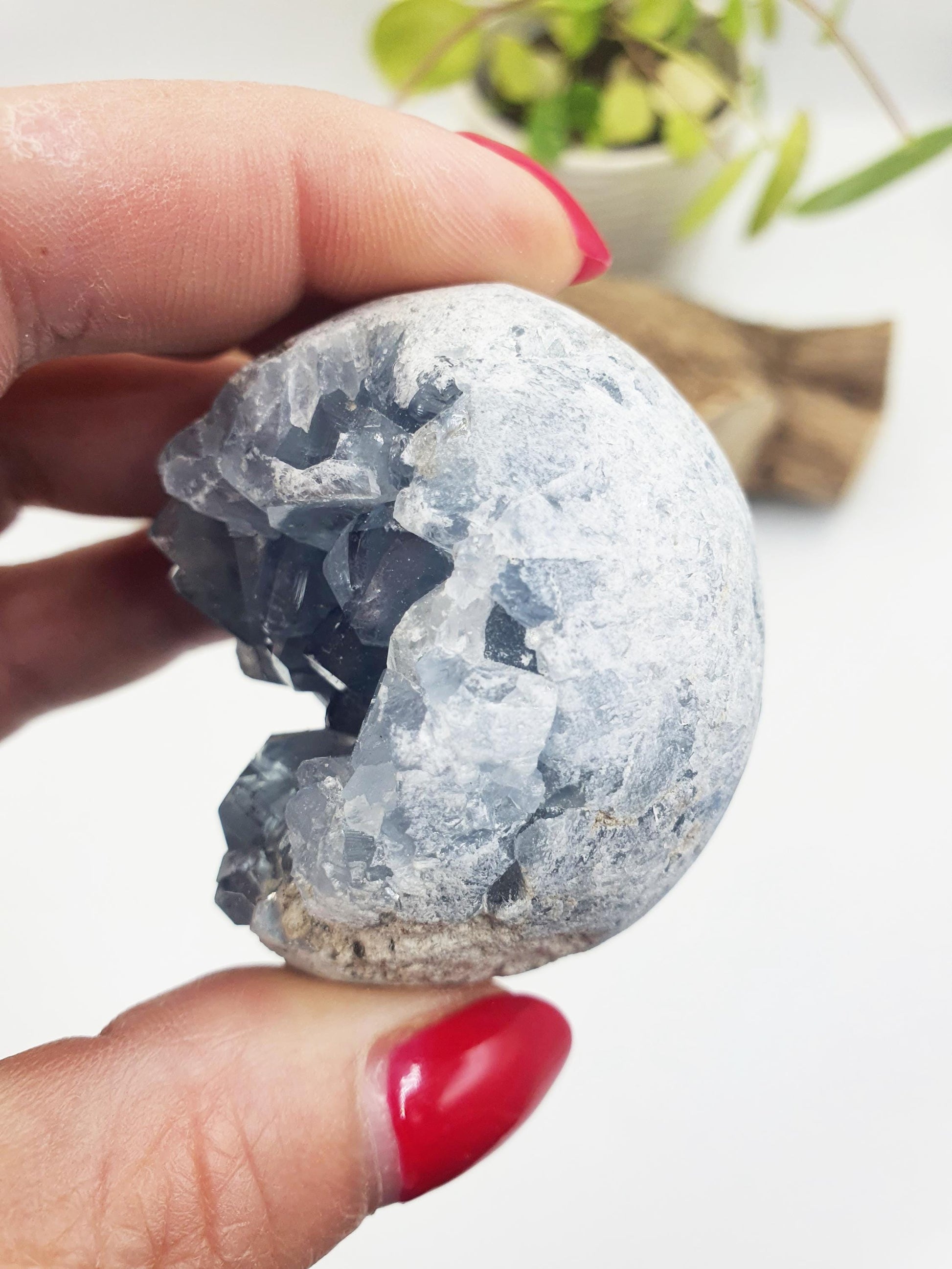Raw Celestite Geode Specimen - Calming & Angelic Energy Healing Crystal, 190g