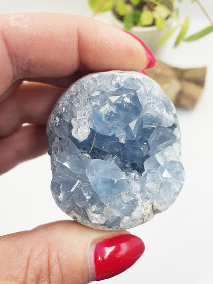 Raw Celestite Geode Specimen - Calming & Angelic Energy Healing Crystal, 190g