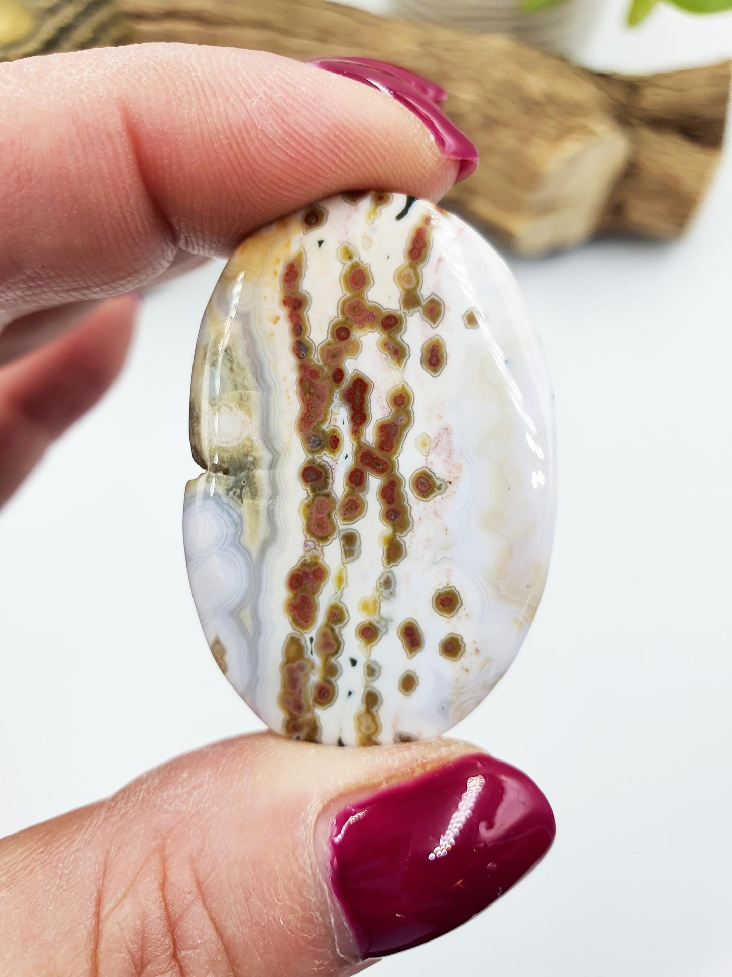 Small Orbicular Ocean Jasper Palm with sparkly drusy pocket - Joy & Renewal Healing Crystal, 25g