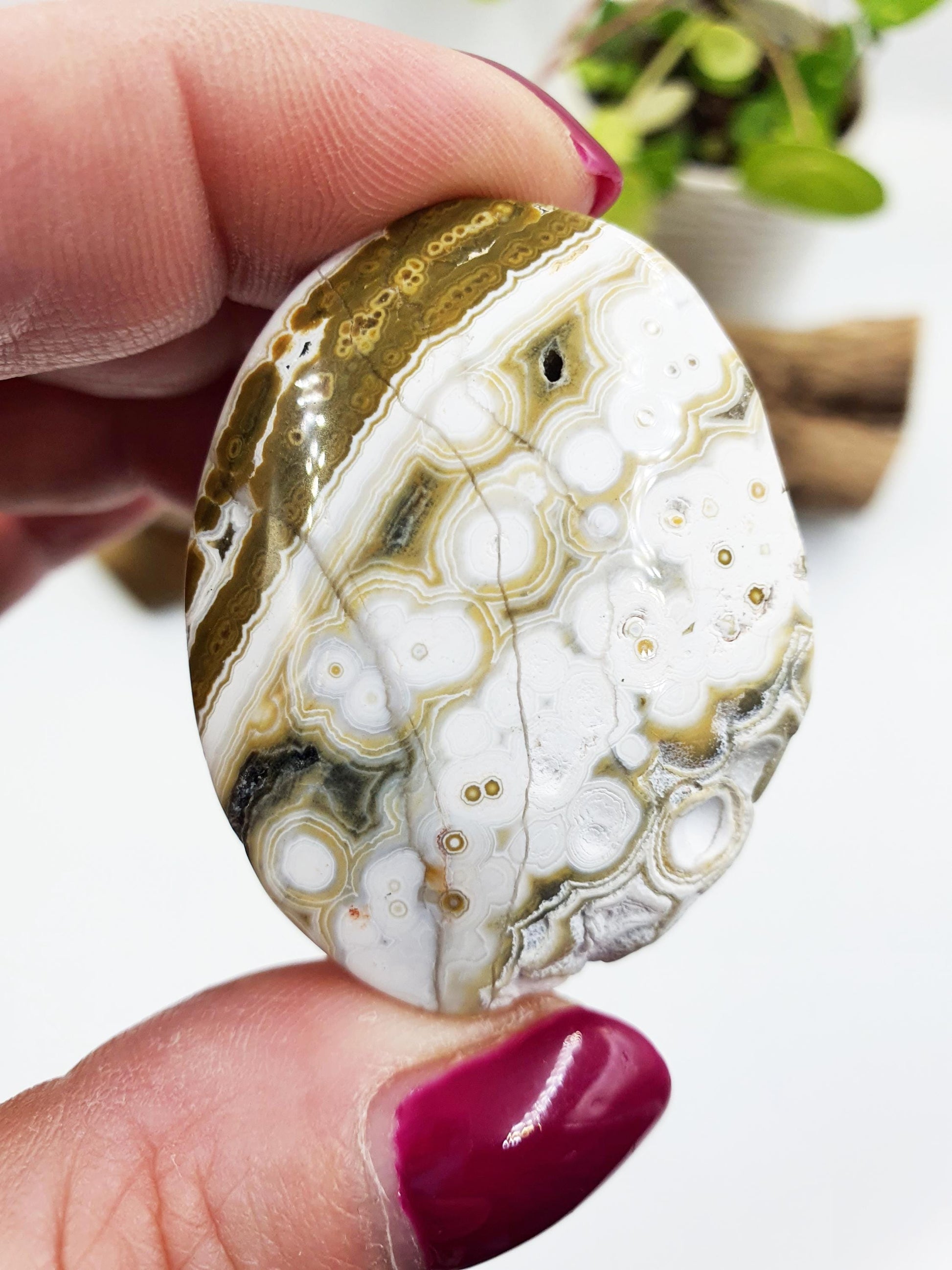 Orbicular Ocean Jasper Palm - Joy & Renewal Healing Crystal, 30g