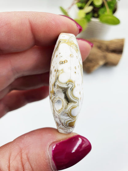 Orbicular Ocean Jasper Palm - Joy & Renewal Healing Crystal, 30g