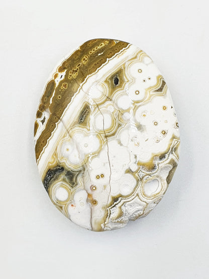 Orbicular Ocean Jasper Palm - Joy & Renewal Healing Crystal, 30g