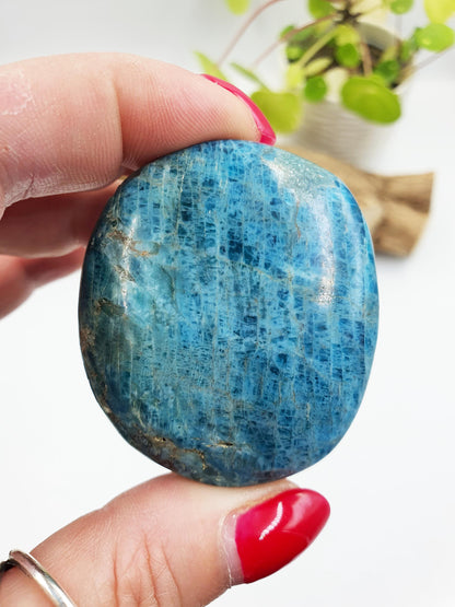 Blue Apatite Palm Stone - Motivation & Focus Healing Crystal - 85g