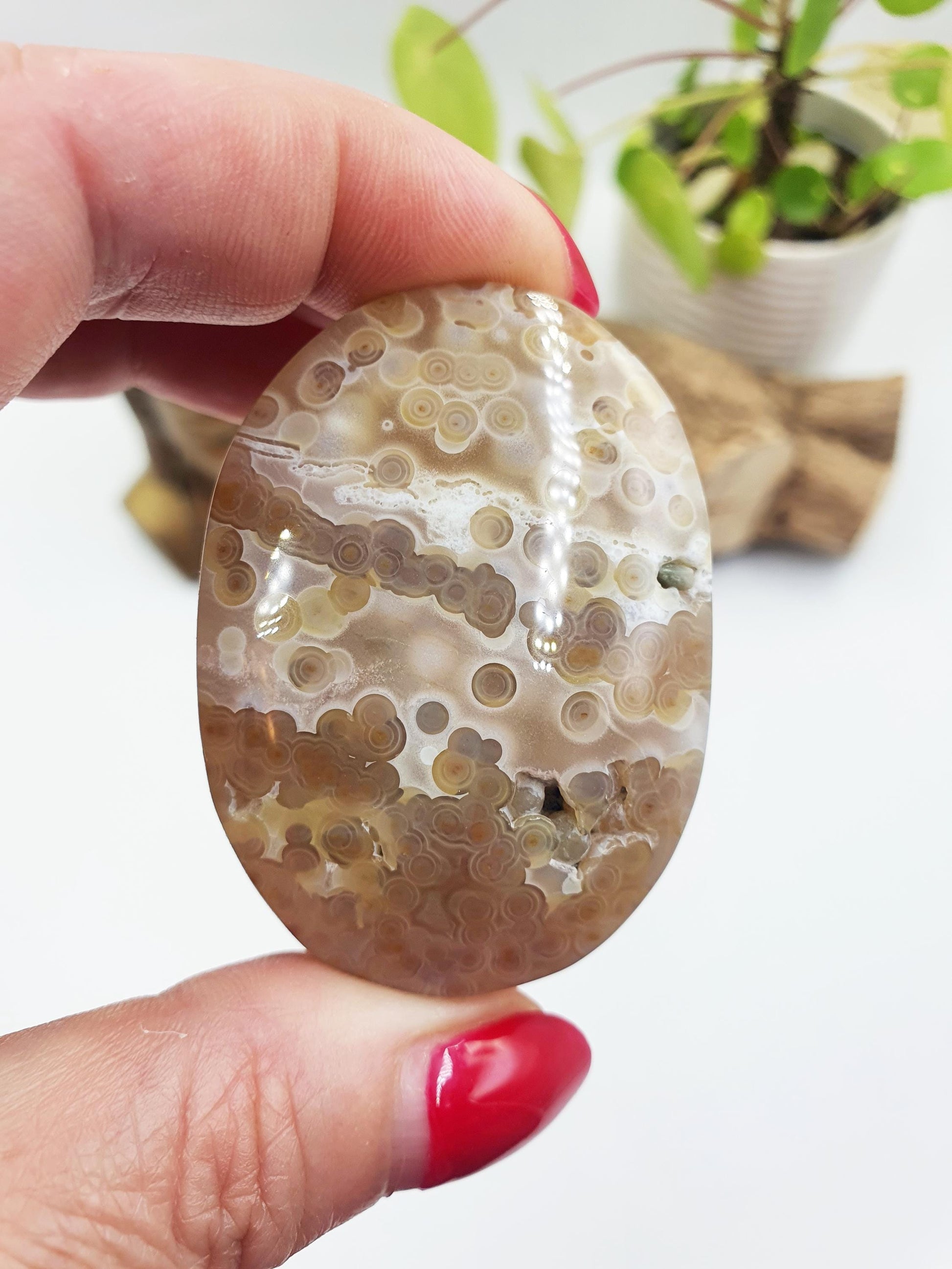 Unique Orbicular Ocean Jasper Palm - Joy & Renewal Healing Crystal - 55g