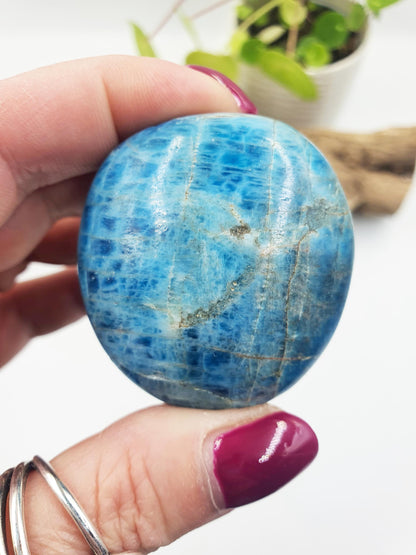 Blue Apatite Palm Stone - Motivation & Focus Healing Crystal - 100g