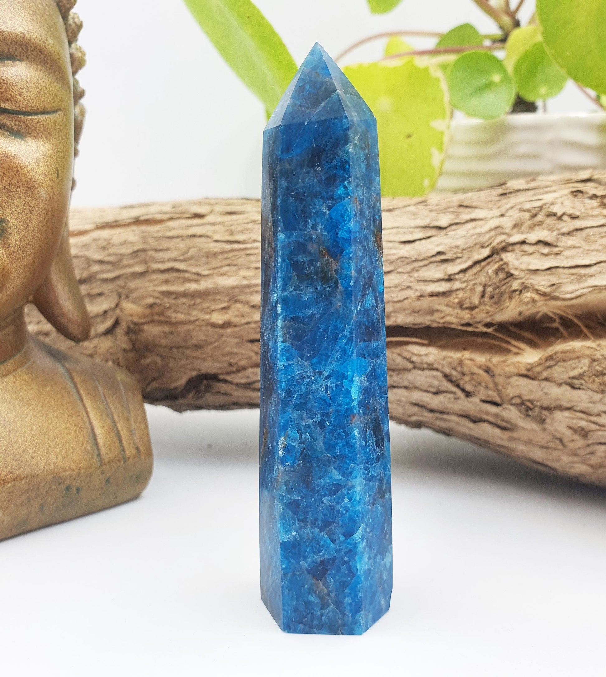 Blue Apatite Tower - Inspiration, Focus & Motivation Crystal Point, 95g