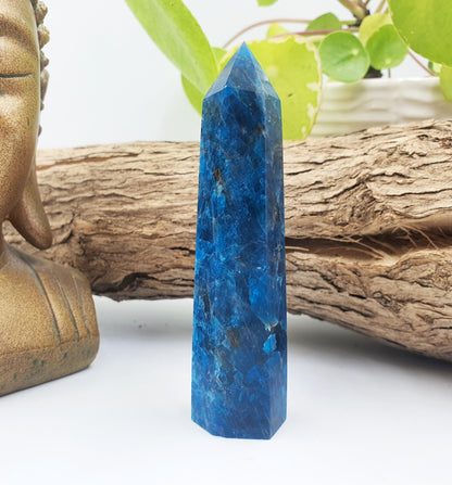 Blue Apatite Tower - Inspiration, Focus & Motivation Crystal Point, 95g