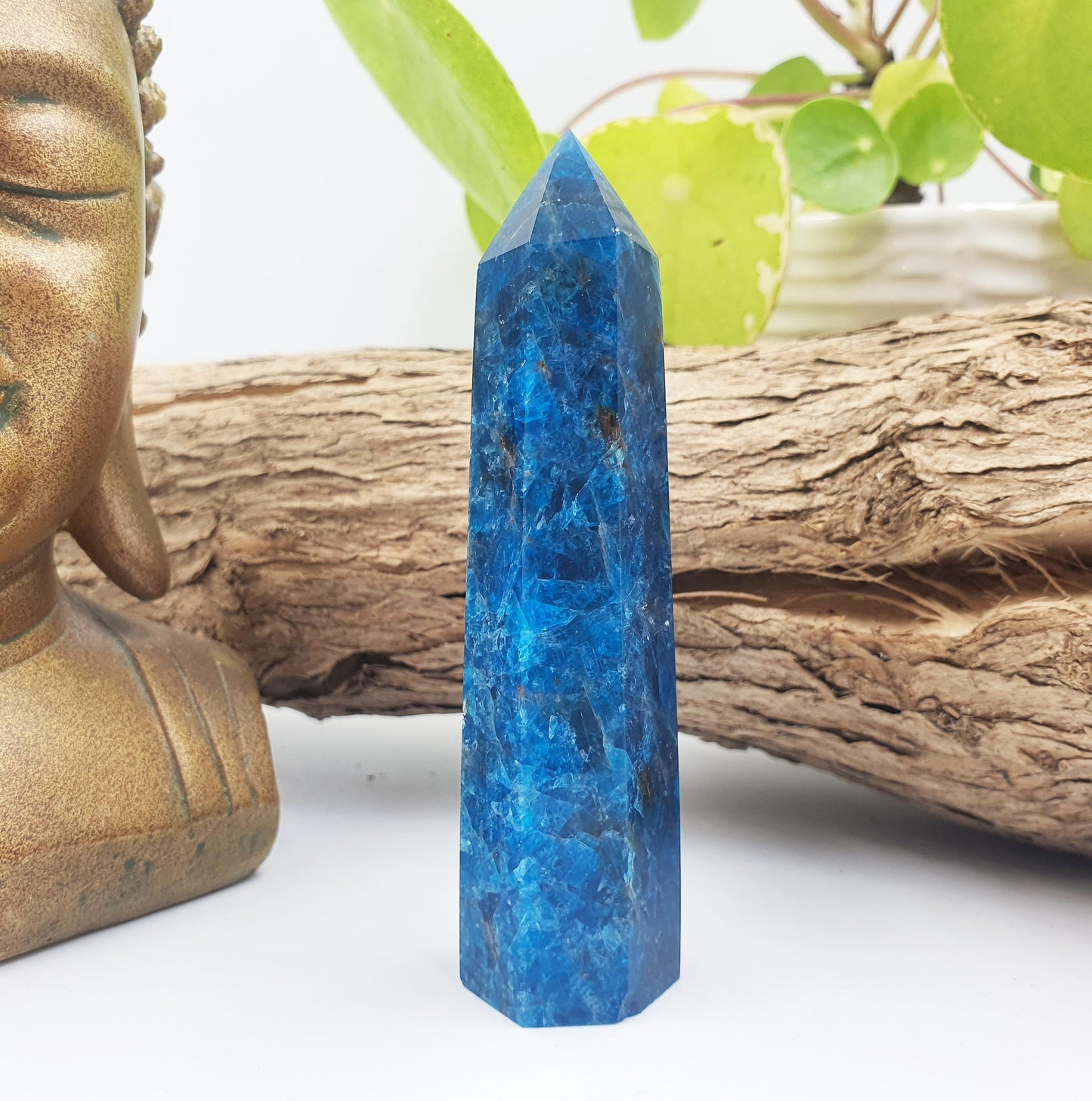 Blue Apatite Tower - Inspiration, Focus & Motivation Crystal Point, 95g