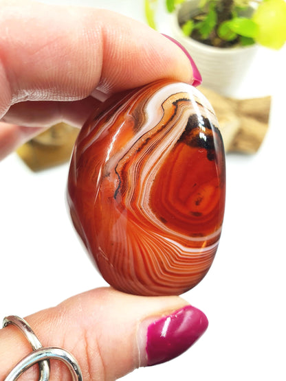 Sardonyx Palm Stone - Strength & Protection Healing, 60g