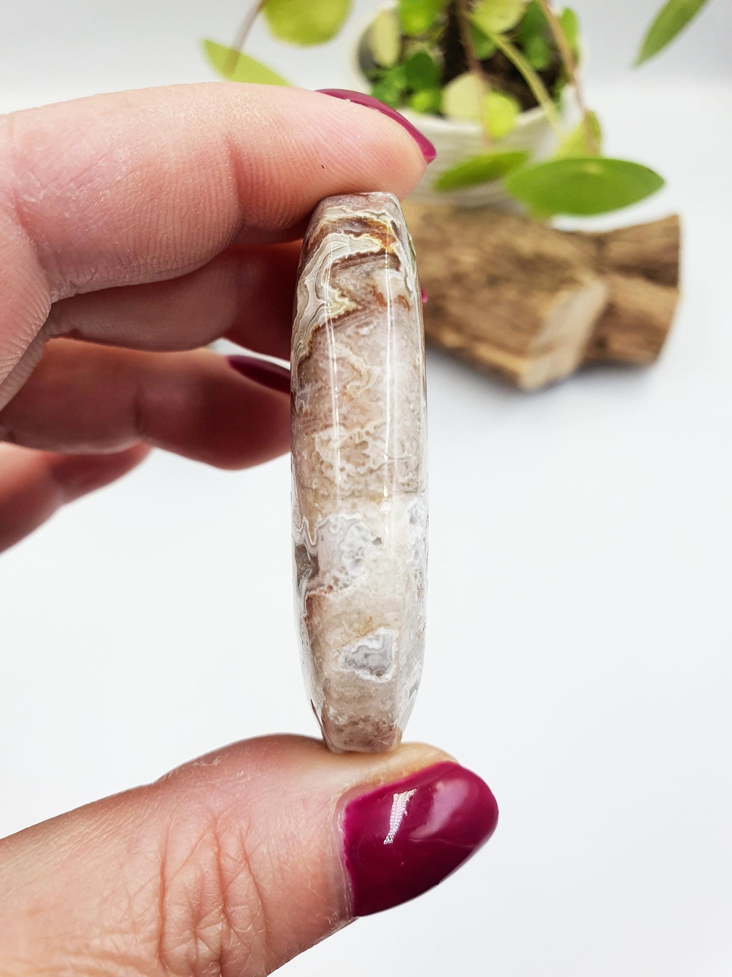 Mexican Crazy Lace Agate Palm Stone - Joy, Positivity & Protection Healing Crystal, 45g