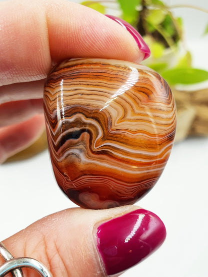 Little Sardonyx Palm Stone - Strength & Protection Healing, 35g