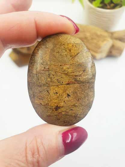 Bronzite Palm Stone - Protection & Grounding Crystal, 45g