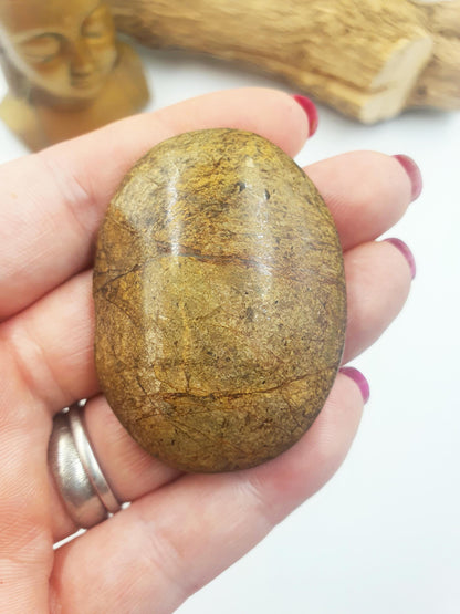 Bronzite Palm Stone - Protection & Grounding Crystal, 45g