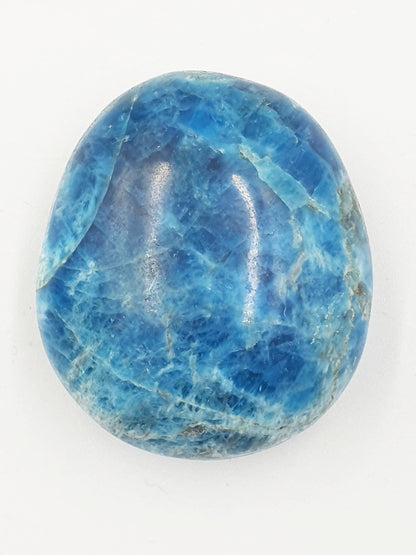 Blue Apatite Palm Stone - Motivation & Focus Healing Crystal - 65g