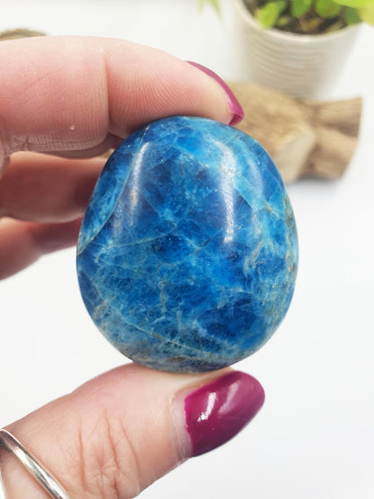 Blue Apatite Palm Stone - Motivation & Focus Healing Crystal - 65g