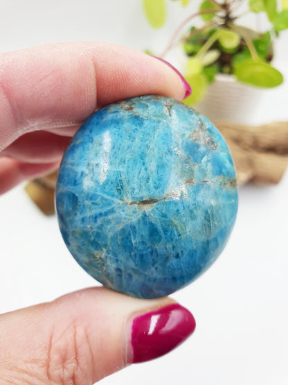 Blue Apatite Palm Stone - Motivation & Focus Healing Crystal - 80g