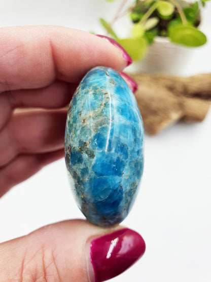 Blue Apatite Palm Stone - Motivation & Focus Healing Crystal - 80g