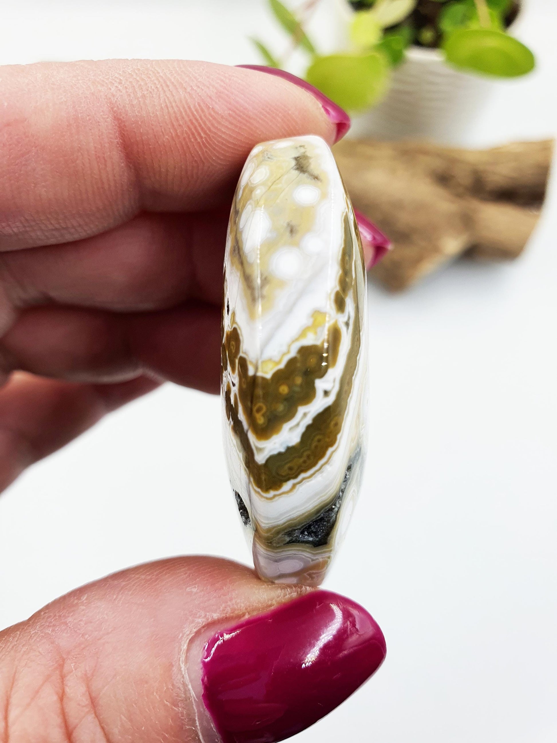 Orbicular Ocean Jasper Palm - Joy & Renewal Healing Crystal, 30g