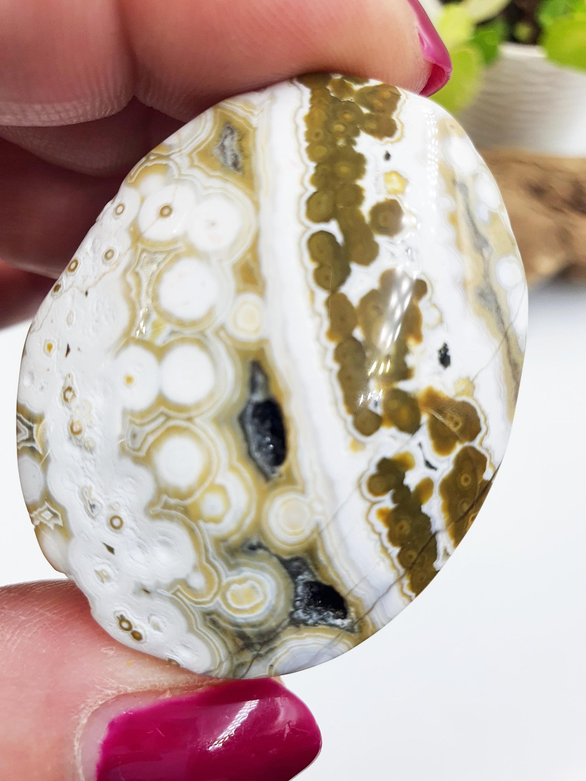 Orbicular Ocean Jasper Palm - Joy & Renewal Healing Crystal, 30g