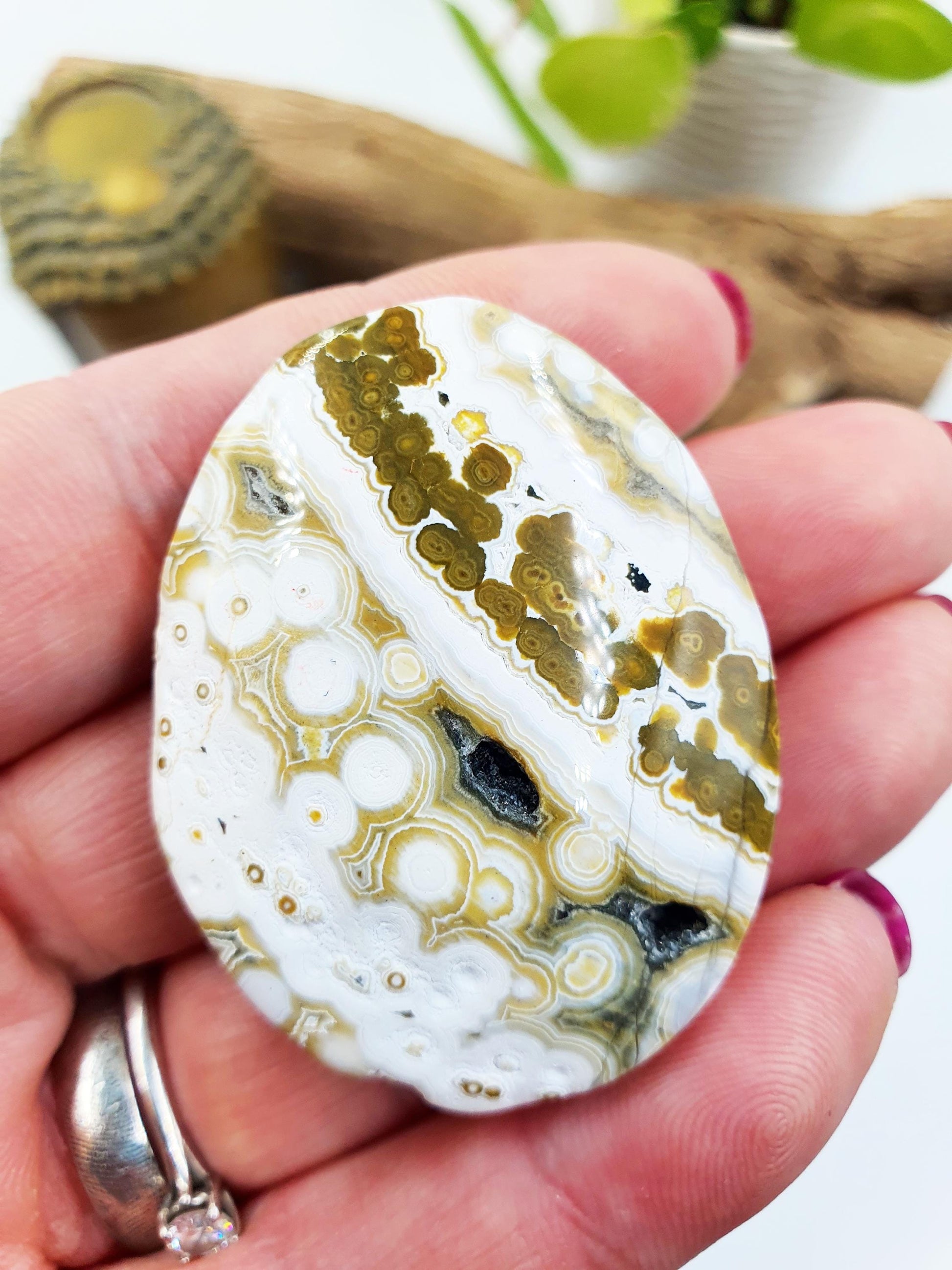 Orbicular Ocean Jasper Palm - Joy & Renewal Healing Crystal, 30g