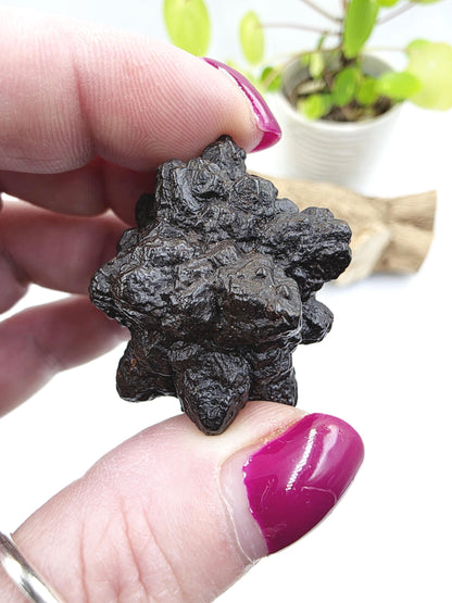 Raw Prophecy Stone – Grounding, Transformation & Spiritual Awakening Natural Crystal Specimen, 50g
