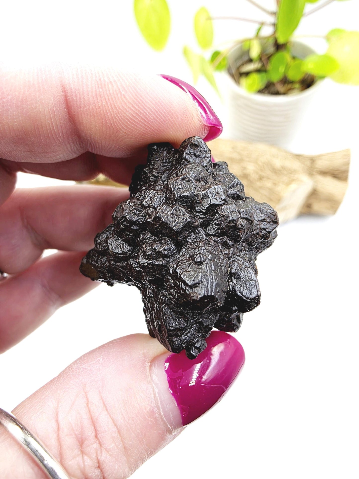 Raw Prophecy Stone – Grounding, Transformation & Spiritual Awakening Natural Crystal Specimen, 50g