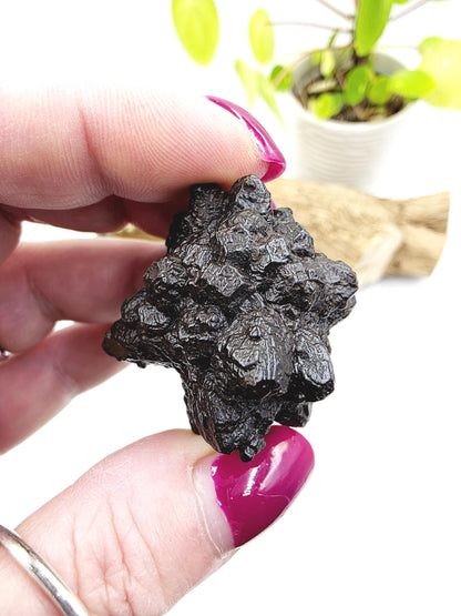 Raw Prophecy Stone – Grounding, Transformation & Spiritual Awakening Natural Crystal Specimen, 50g