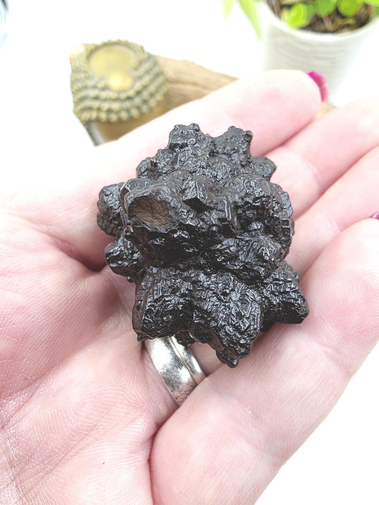 Raw Prophecy Stone – Grounding, Transformation & Spiritual Awakening Natural Crystal Specimen, 50g