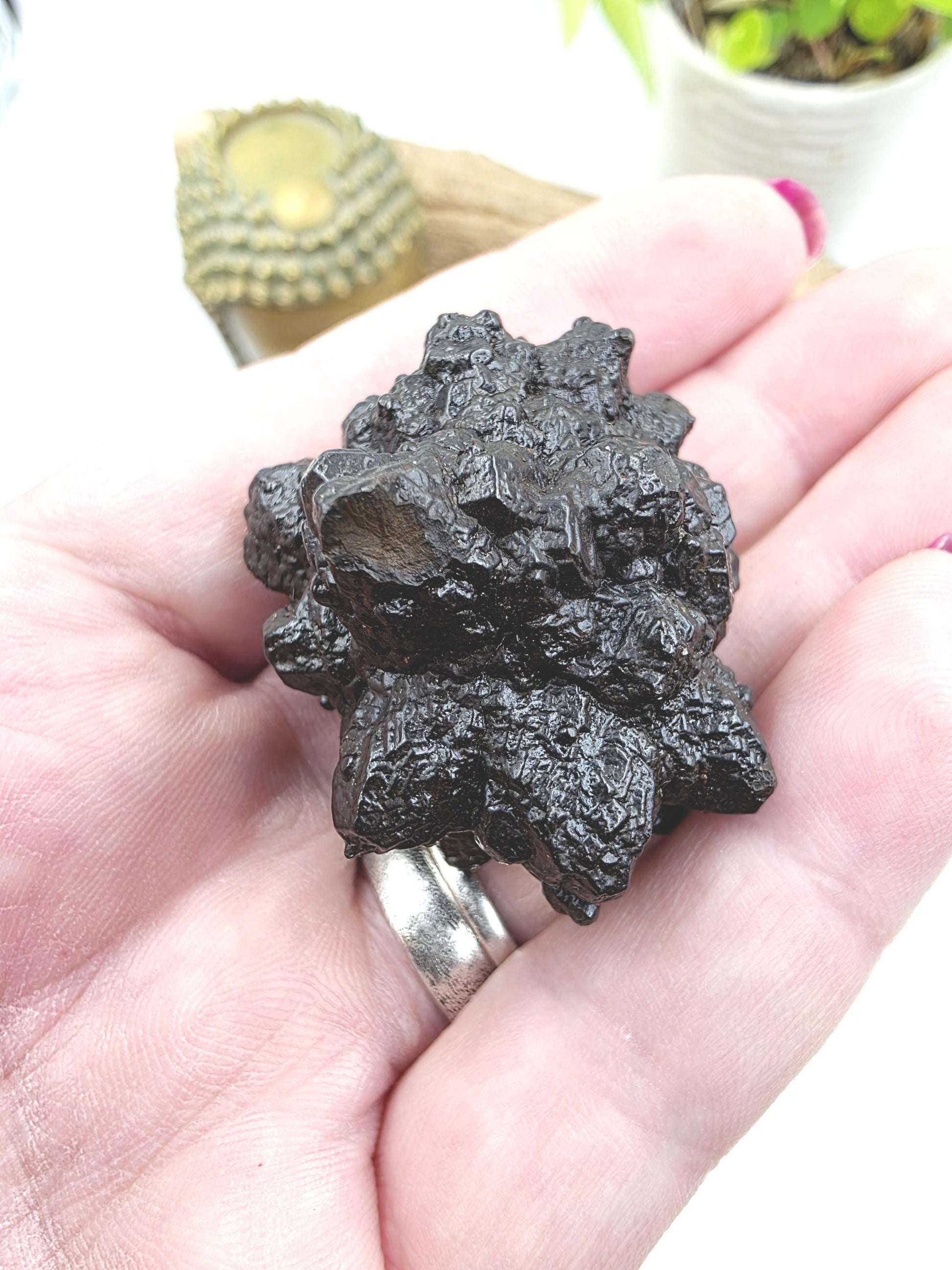 Raw Prophecy Stone – Grounding, Transformation & Spiritual Awakening Natural Crystal Specimen, 50g