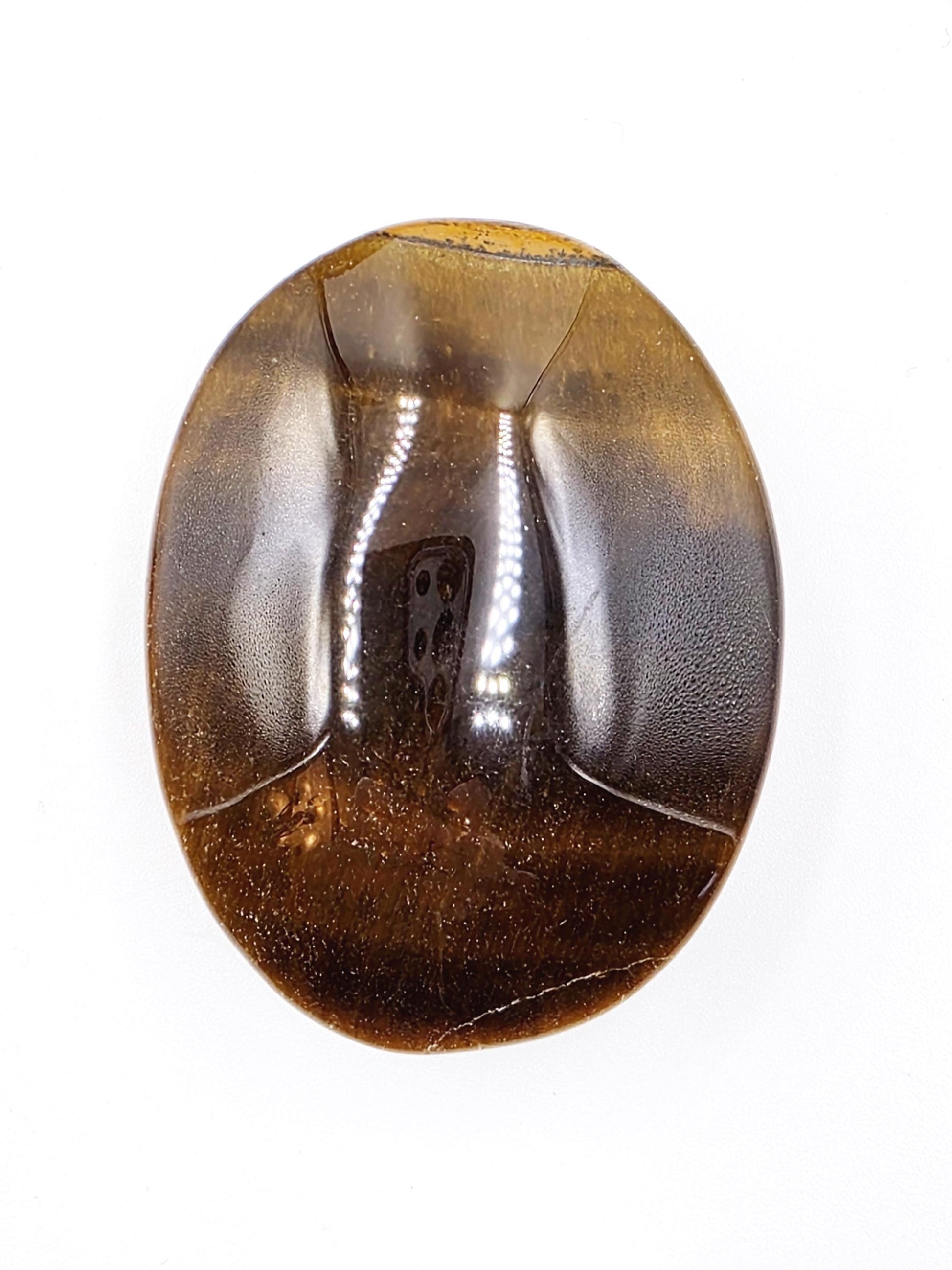 High Grade Yellow Tigers Eye Palm Stone - Protection & Courage Crystal - 75g