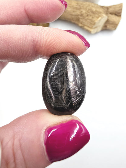 Mini Hypersthene Pebble Palm – Intuition, Protection & Deep Calm Crystal, 15g