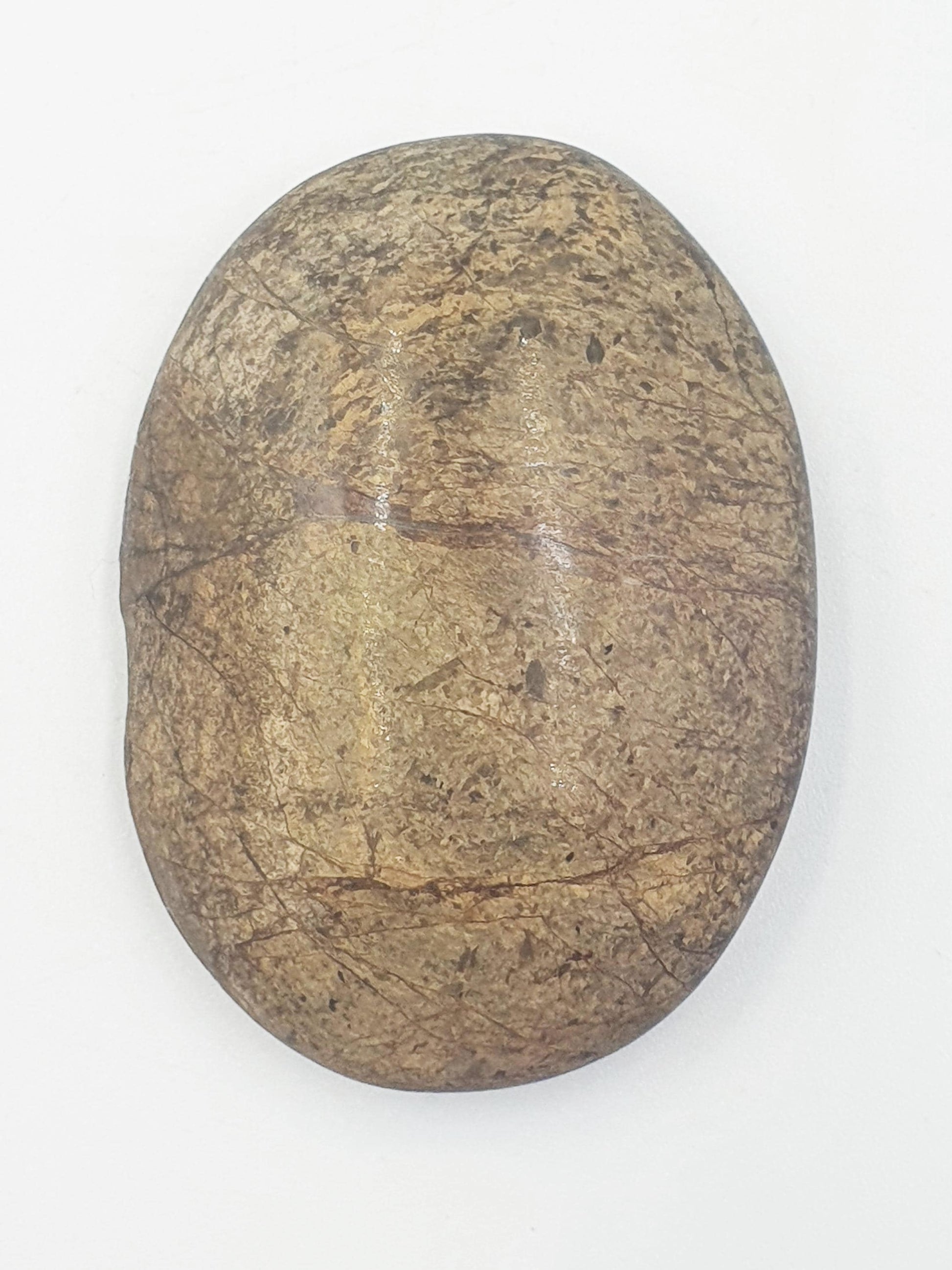 Bronzite Palm Stone - Protection & Grounding Crystal, 45g