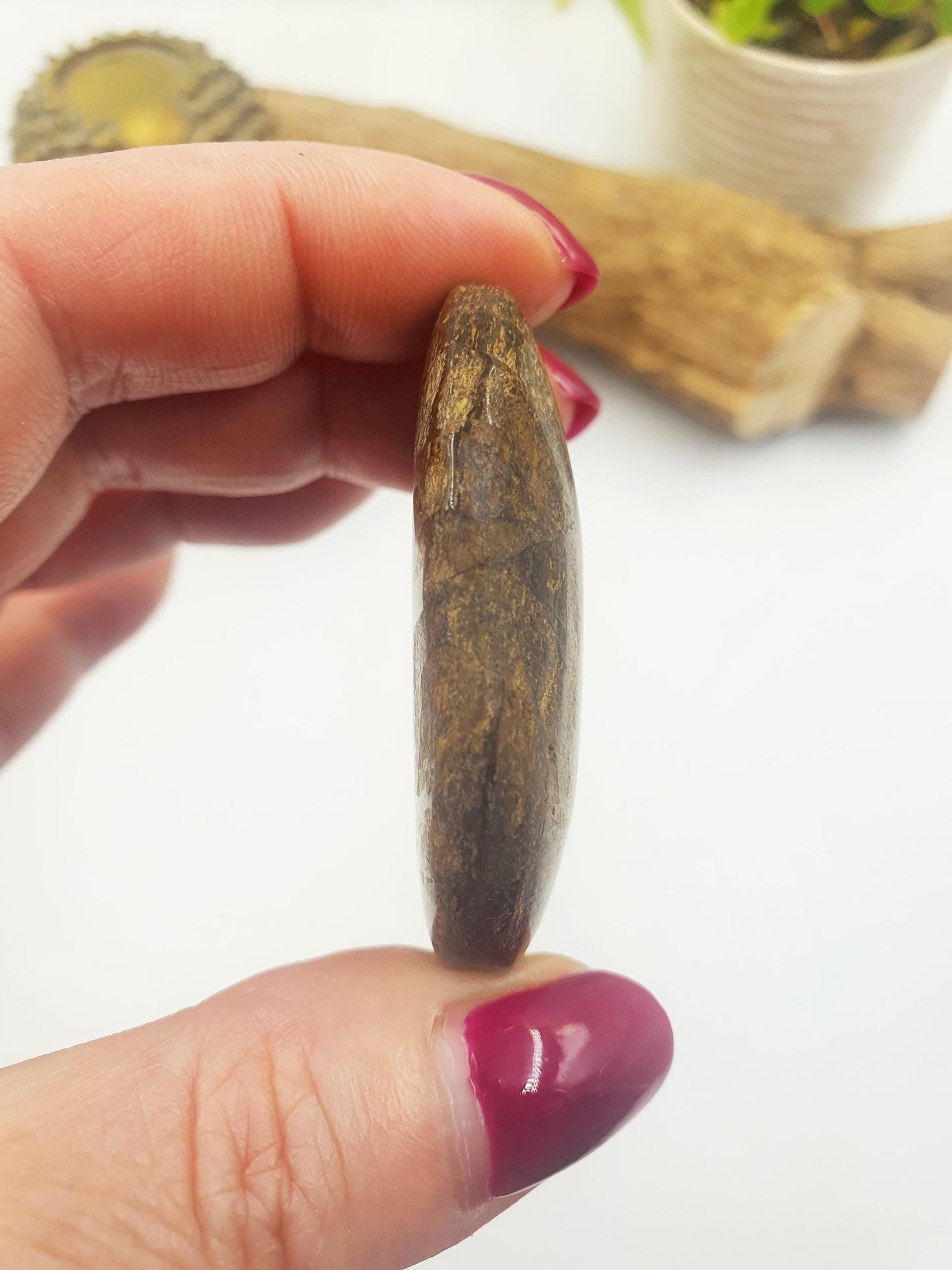 Bronzite Palm Stone - Protection & Grounding Crystal, 45g