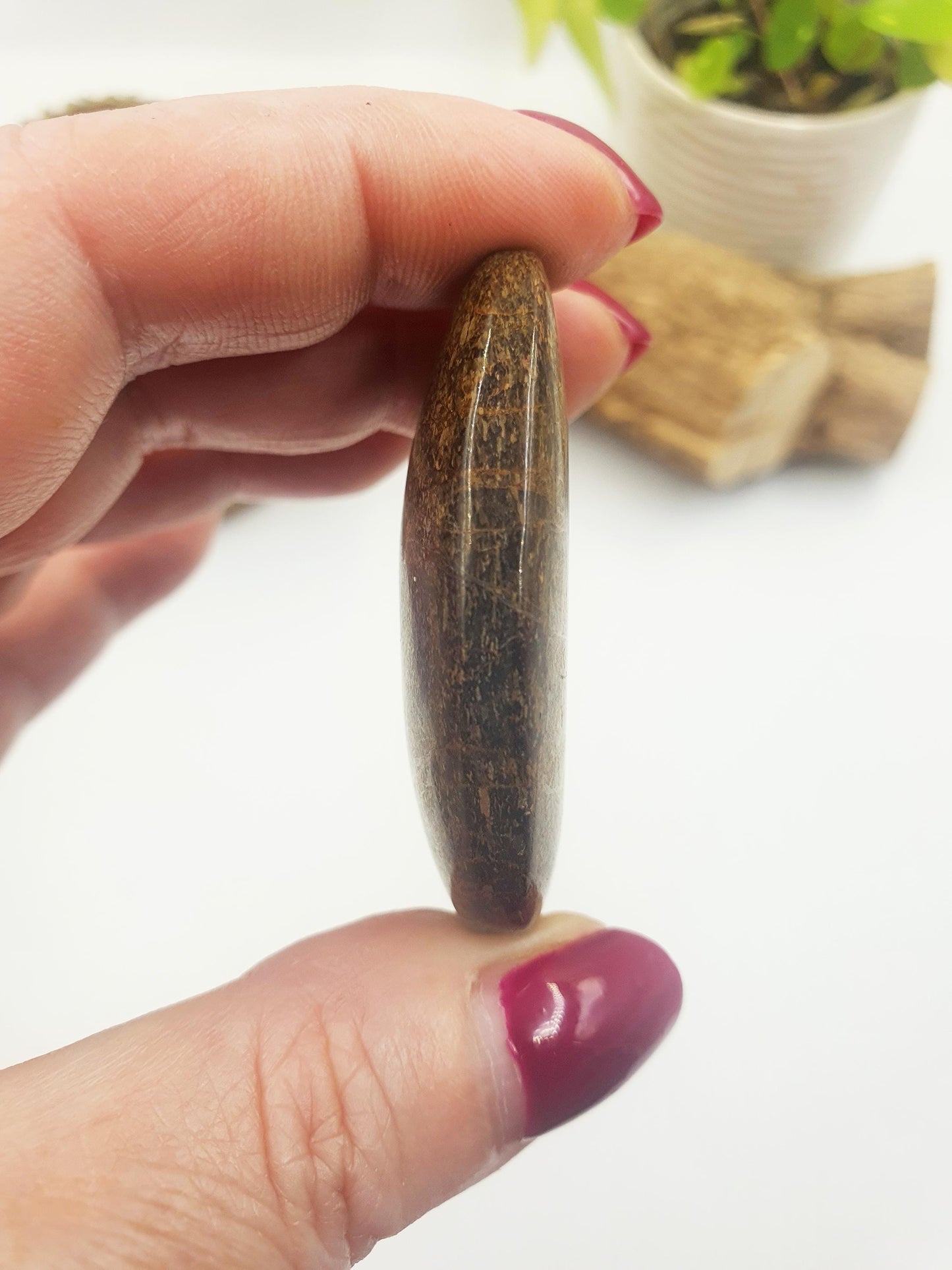 Bronzite Palm Stone - Protection & Grounding Crystal, 45g