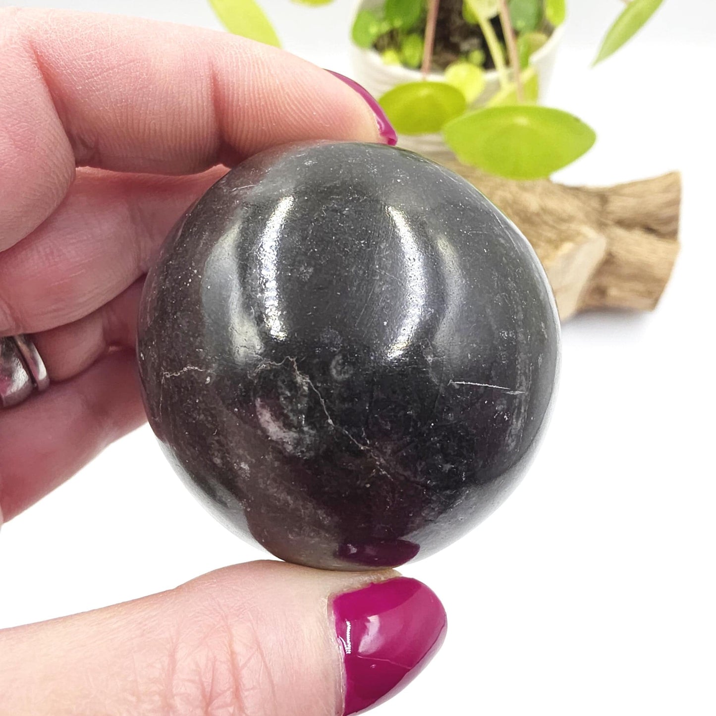 Orthoceras Fossil Sphere – Ancient Ocean Energy, Grounding & Earth History Crystal Ball, 53mm