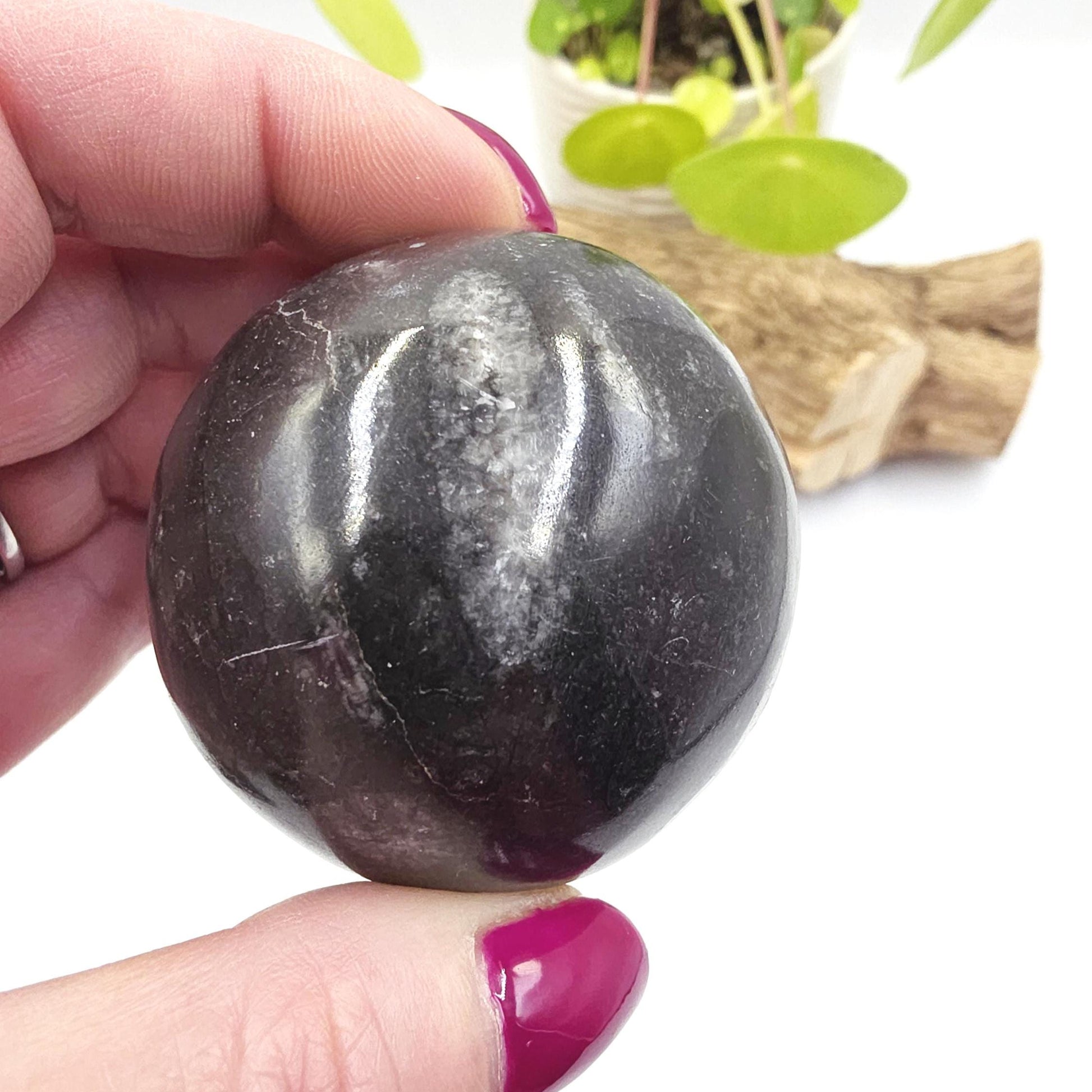 Orthoceras Fossil Sphere – Ancient Ocean Energy, Grounding & Earth History Crystal Ball, 53mm