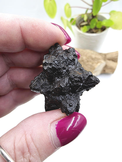 Raw Prophecy Stone – Grounding, Transformation & Spiritual Awakening Natural Crystal Specimen, 50g